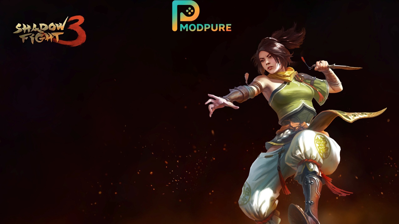 Thông Tin Về Hack Shadow Fight 3