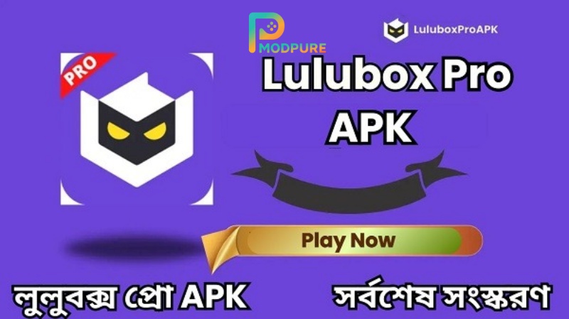 LuluboxPro 1
