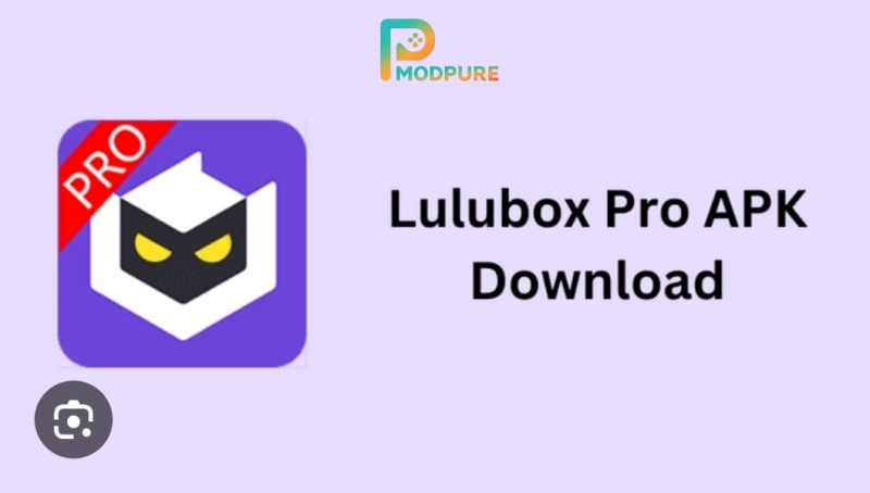 LuluboxPro 2