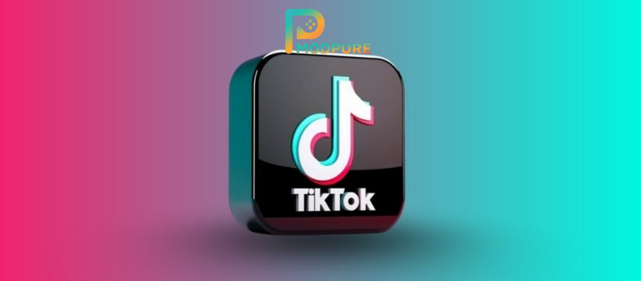 TikTok Mod 1