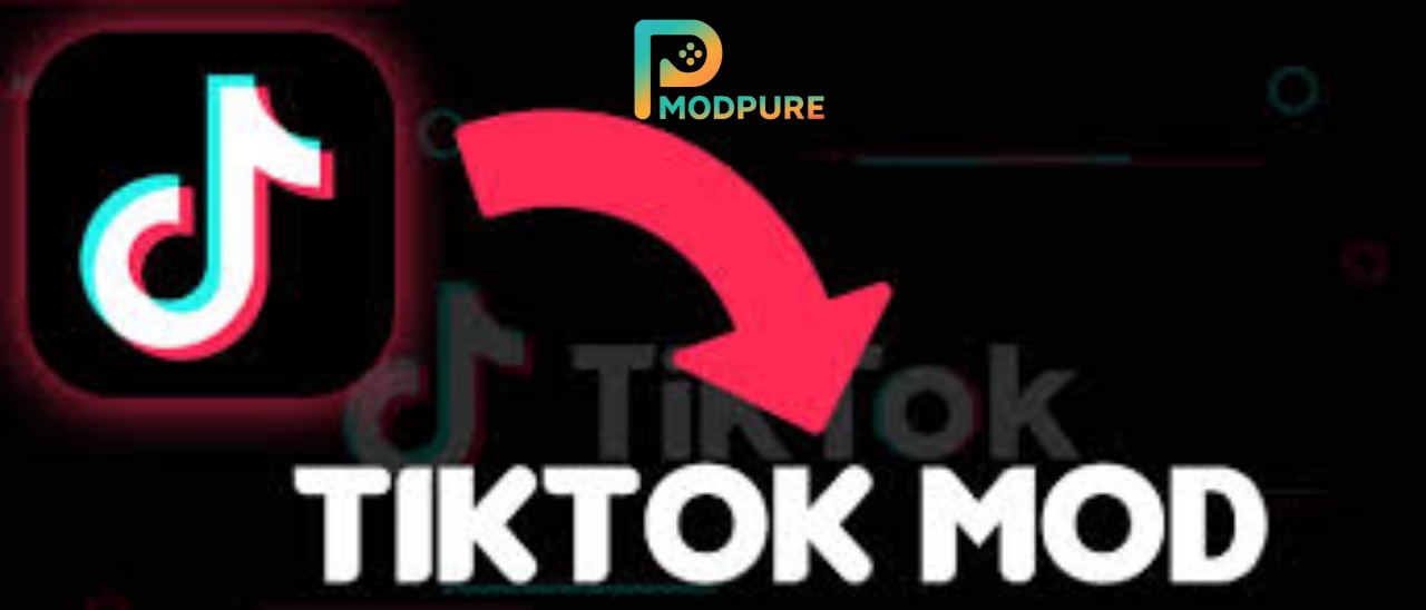 TikTok Mod 3