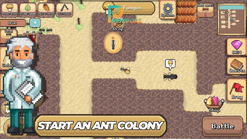Giới Thiệu Về Hack Pocket Ants