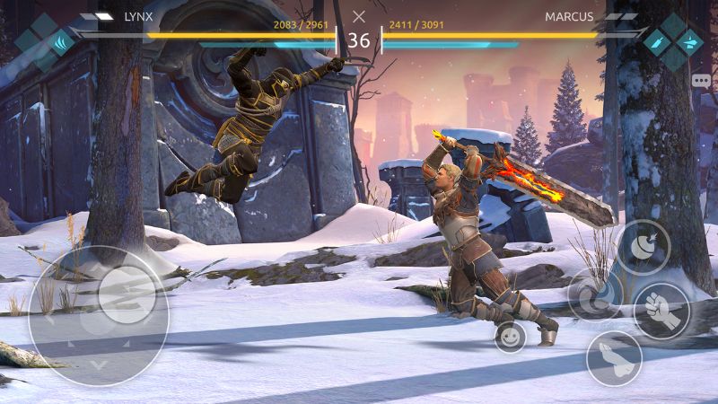 Chinh Phục Đỉnh Cao Võ Thuật Toàn Cầu Trong Hack Shadow Fight 4 